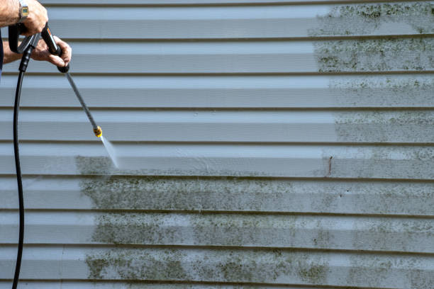 Professional Siding Installation & Repair in Scottville, MI