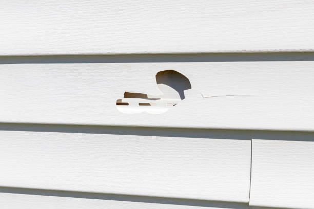 Best Historical Building Siding Restoration  in Scottville, MI