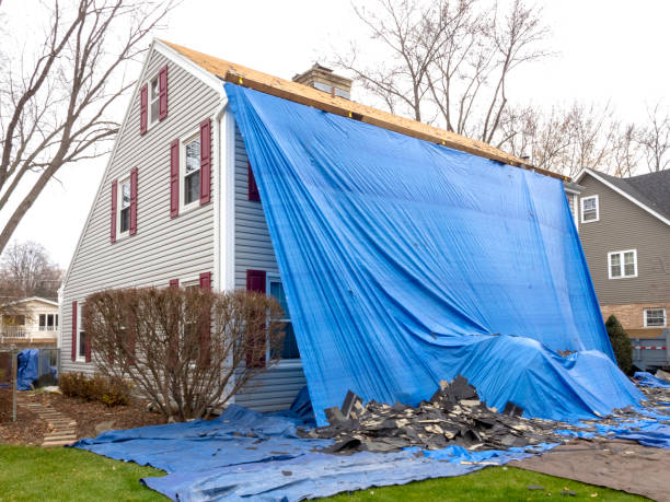 Affordable siding repair and maintenance services in Scottville, MI