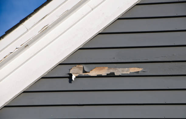 Best Residential Vinyl Siding Installation  in Scottville, MI